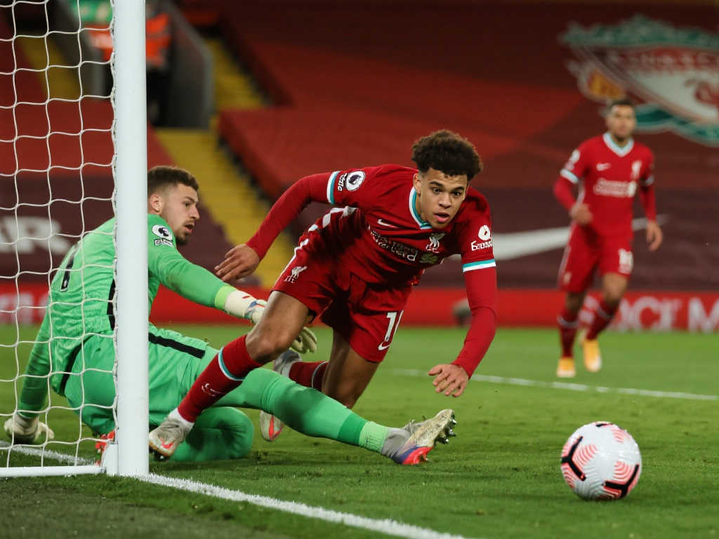 他拥有丰富 他拥有丰富