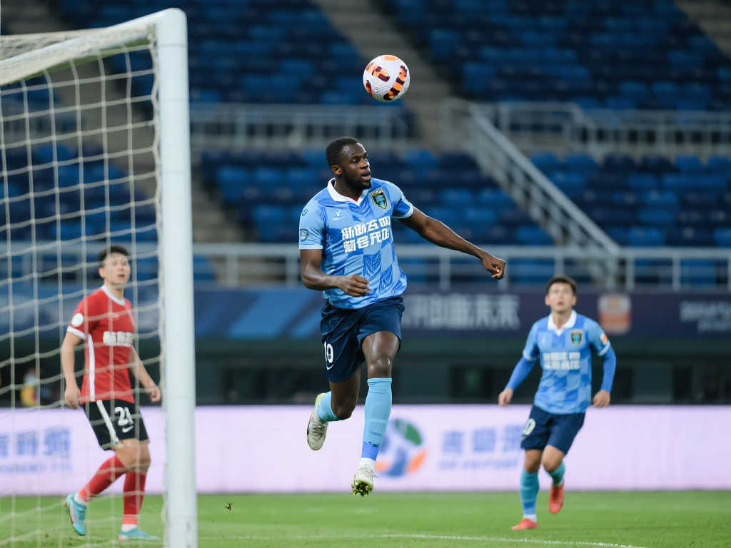 的完美结合 的完美结合