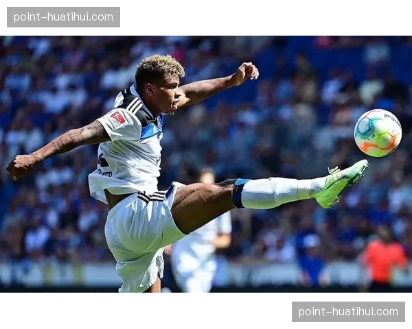 多特蒙德选定赫尔穆特-柯尼希体育馆后方空地建设新馆